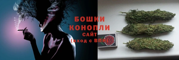 стаф Богородск