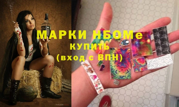 стаф Богородск