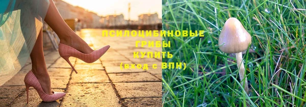 стаф Богородск