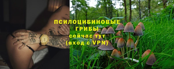 соль ск Богданович