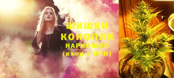 соль ск Богданович