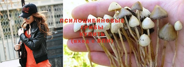 ALPHA PVP Богородицк
