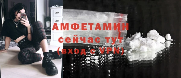 соль ск Богданович